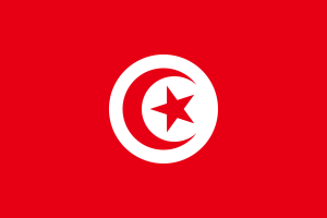 1599px-Flag of Tunisia.svg.png