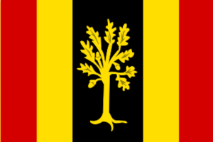 652px-Waalwijk vlag.svg.png