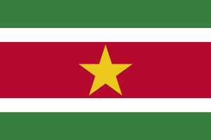 Flag of Suriname.svg