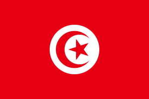 1200px-Flag of Tunisia.svg.png