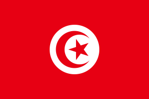 2400px-Flag of Tunisia.svg.png