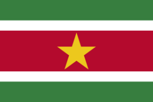 320px-Flag of Suriname.svg.png