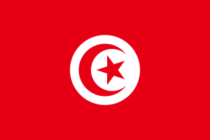 800px-Flag of Tunisia.svg.png