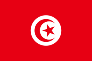320px-Flag of Tunisia.svg.png