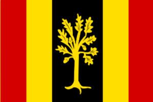 489px-Waalwijk vlag.svg.png
